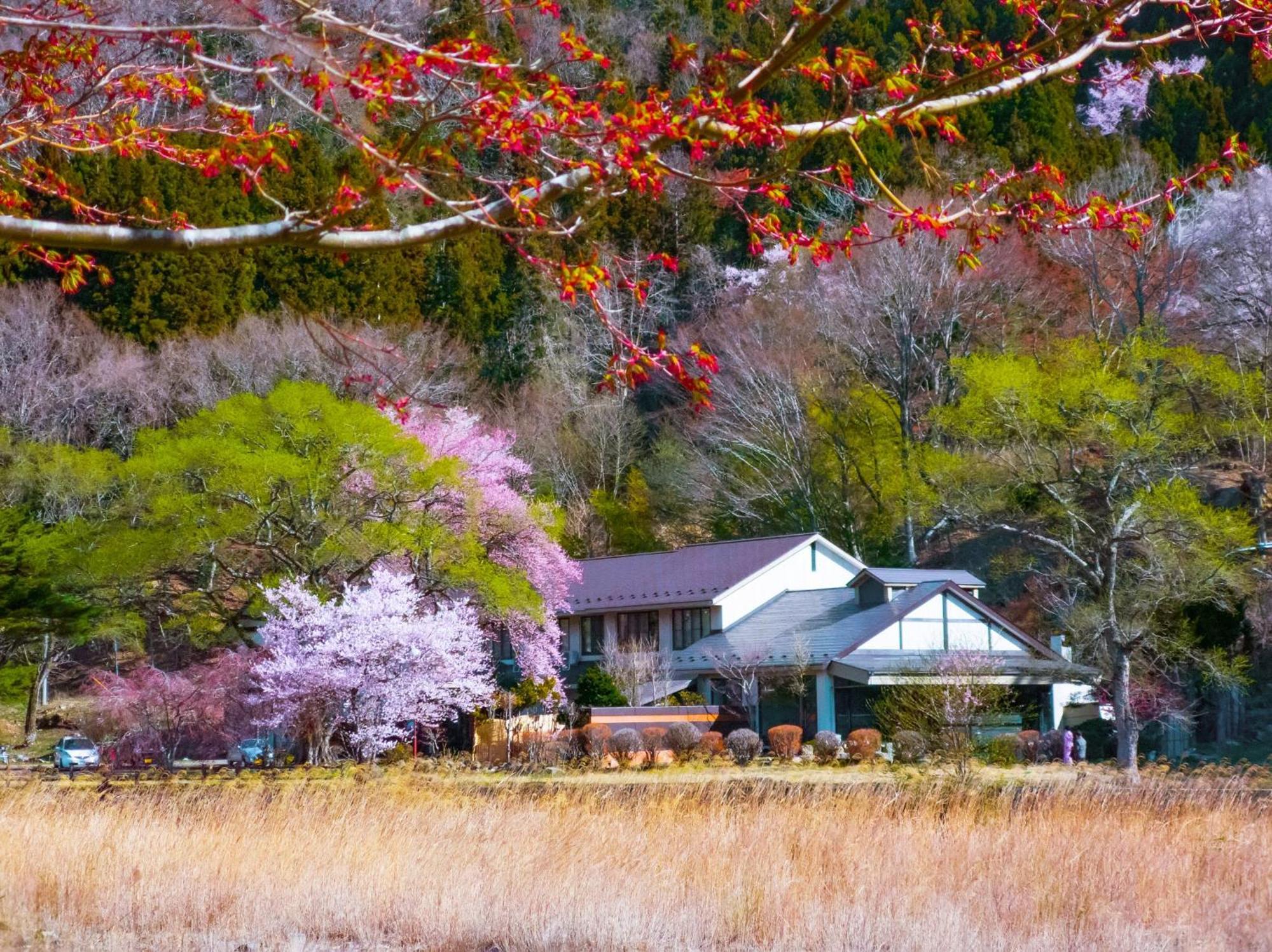 赤沢温泉旅館 旅館 那須塩原市