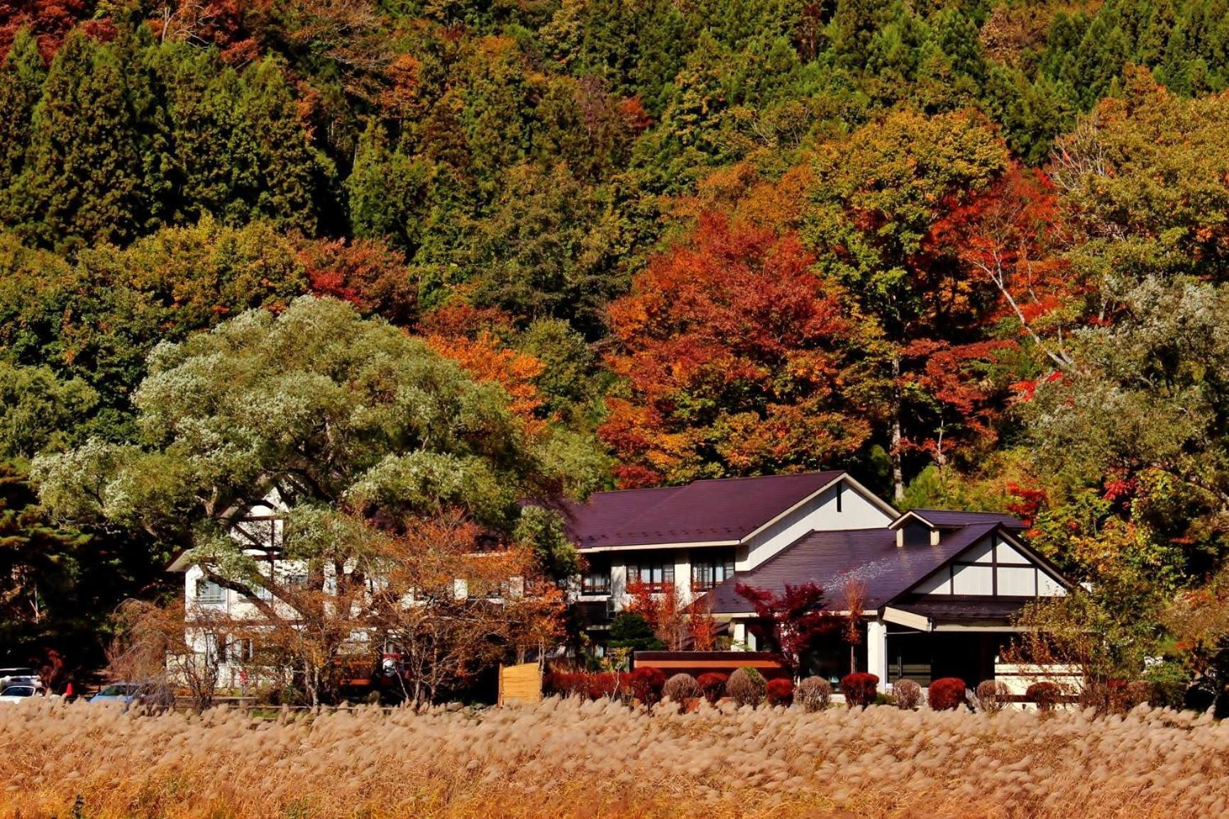 赤沢温泉日式旅馆 传统日式旅馆